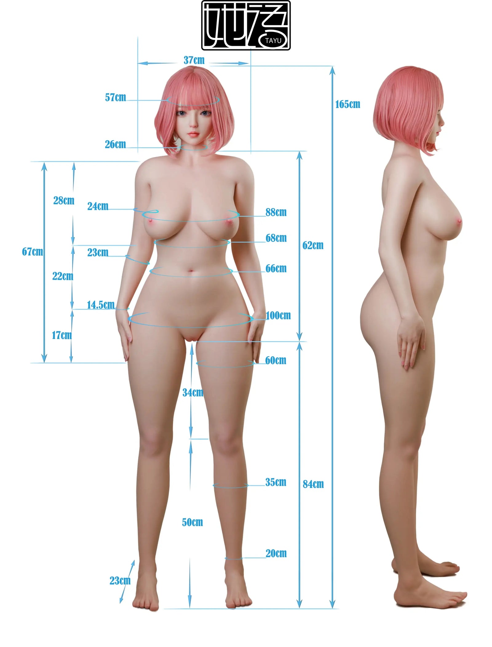 April Sex doll (Tayu Doll 165cm E-cup ZC-24# silicone)