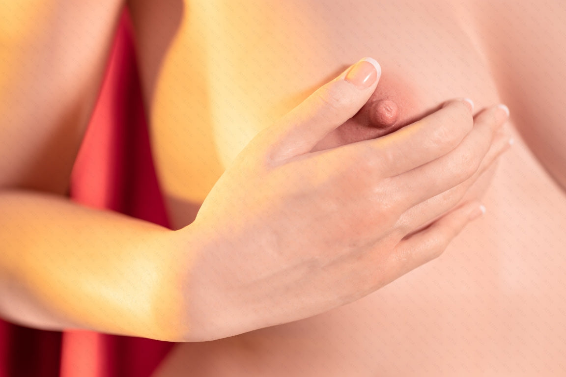 Begonia-sekspop (AITIA-pop 163 cm C-cup 2.2 siliconen)