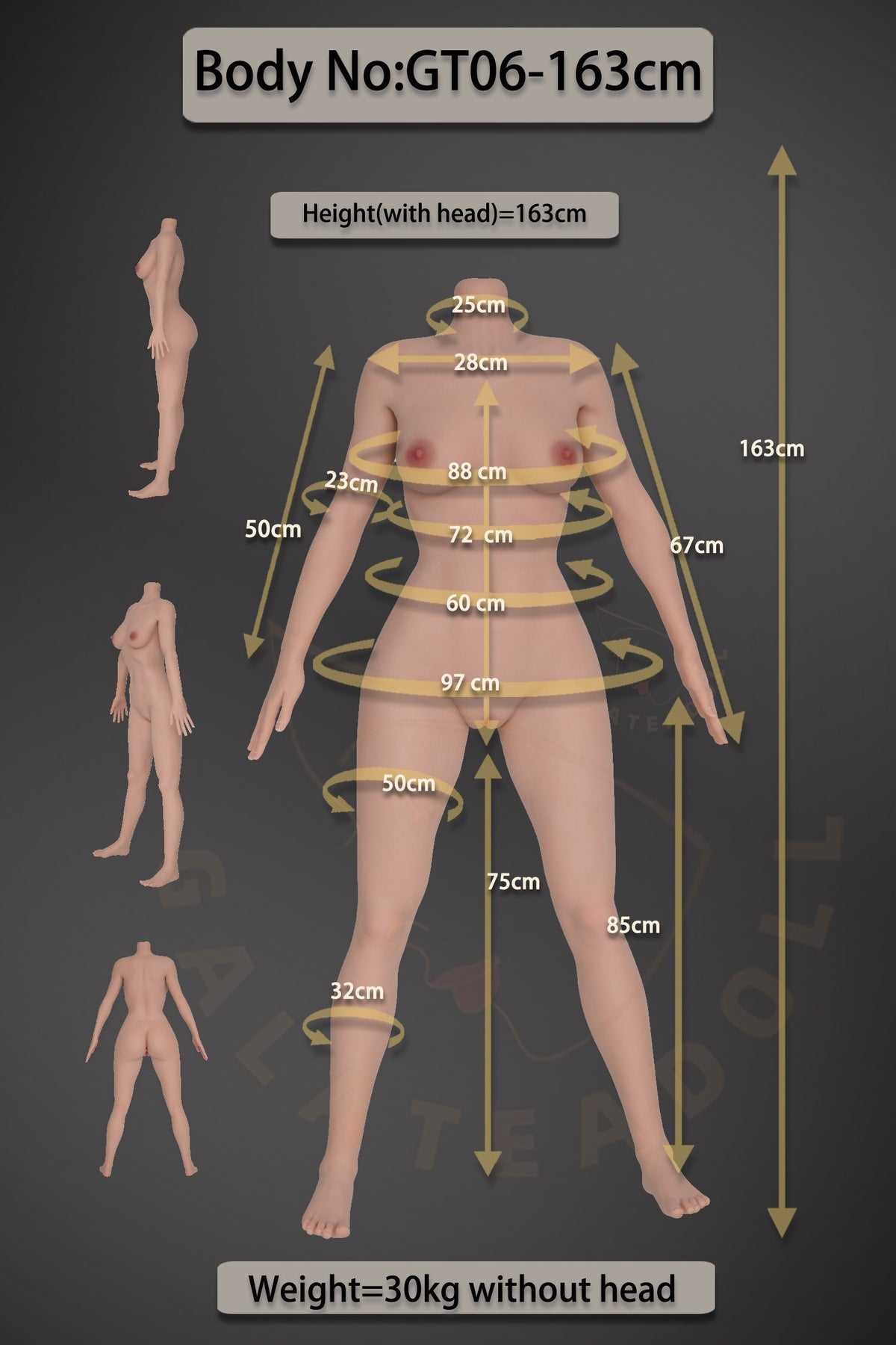 Samira-sekspop (Galatea Doll 163 cm D-cup #198 siliconen)