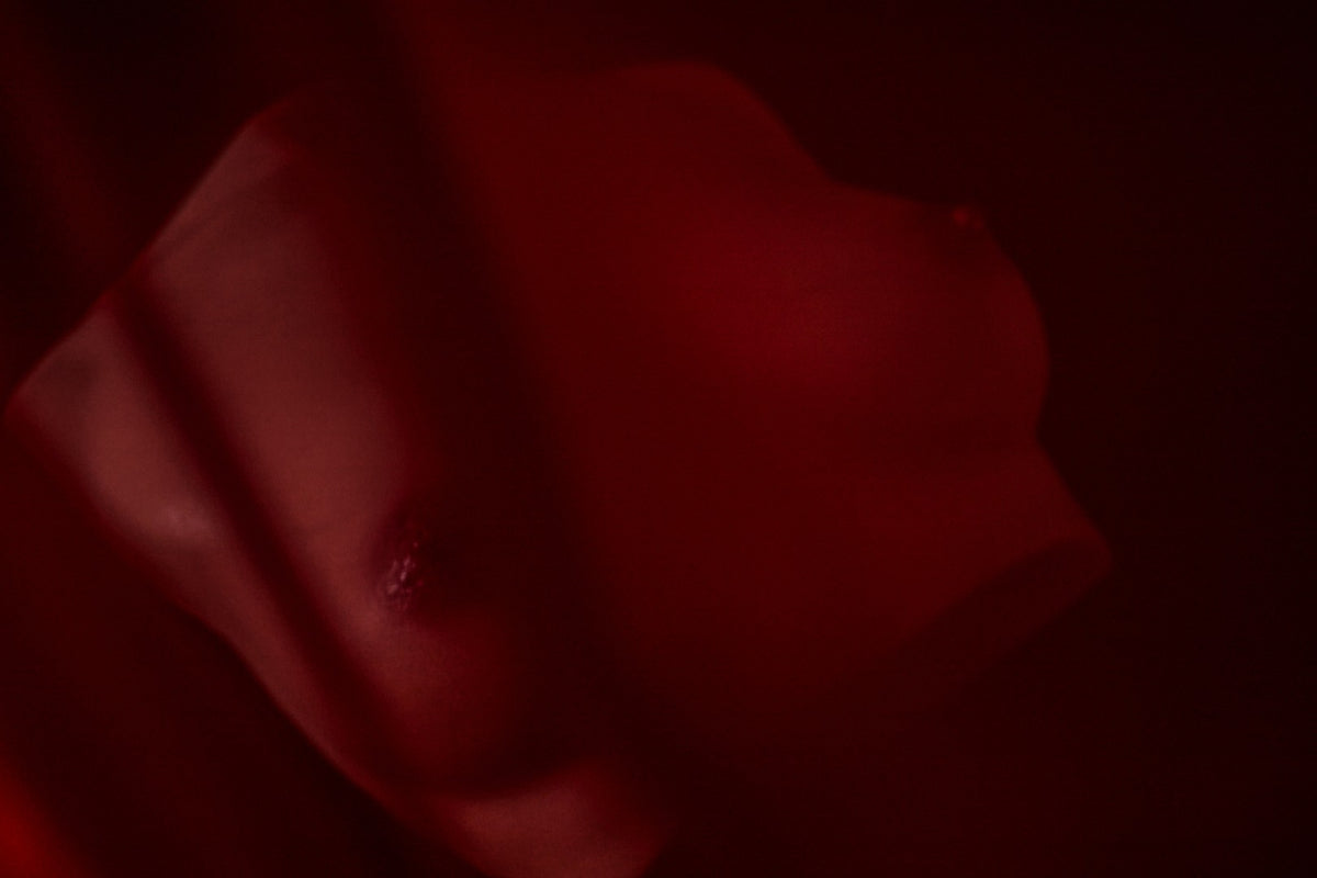 Borst(S) Torso Sekspop (Climax Doll Pro B-cup Siliconen)