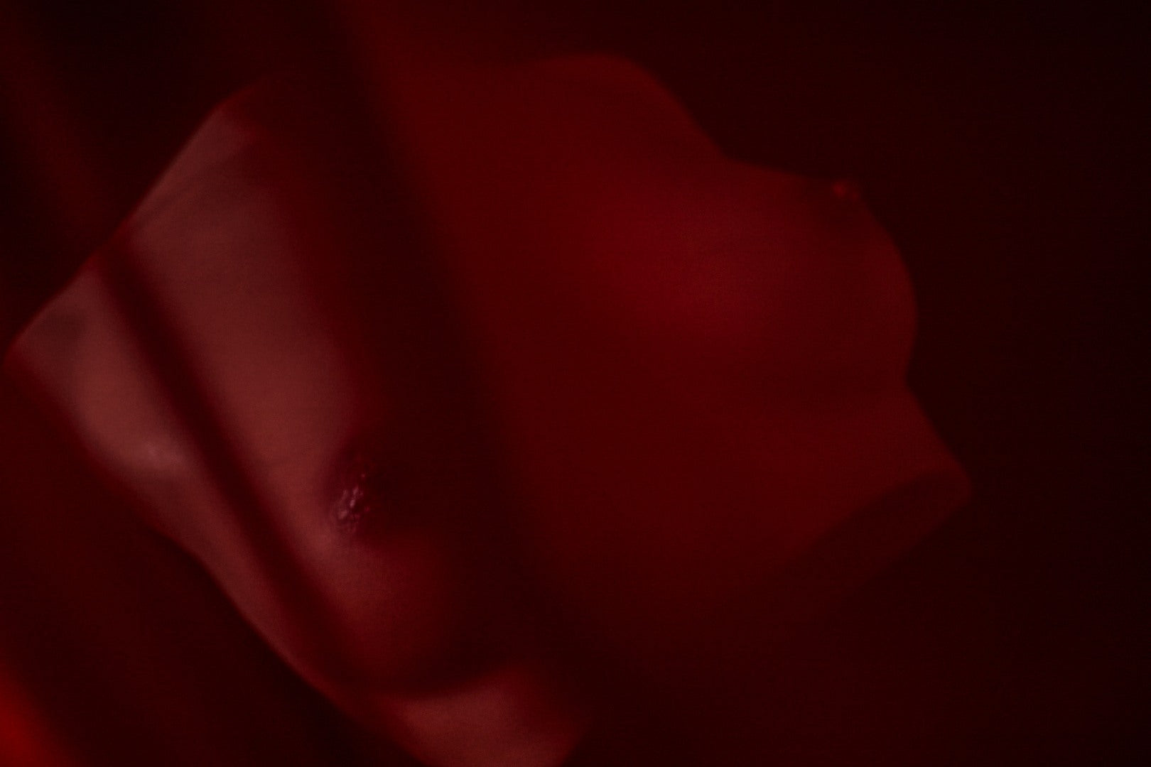 Borsten (en) torso sex pop (Climax Doll Pro B-Cup Silicone)