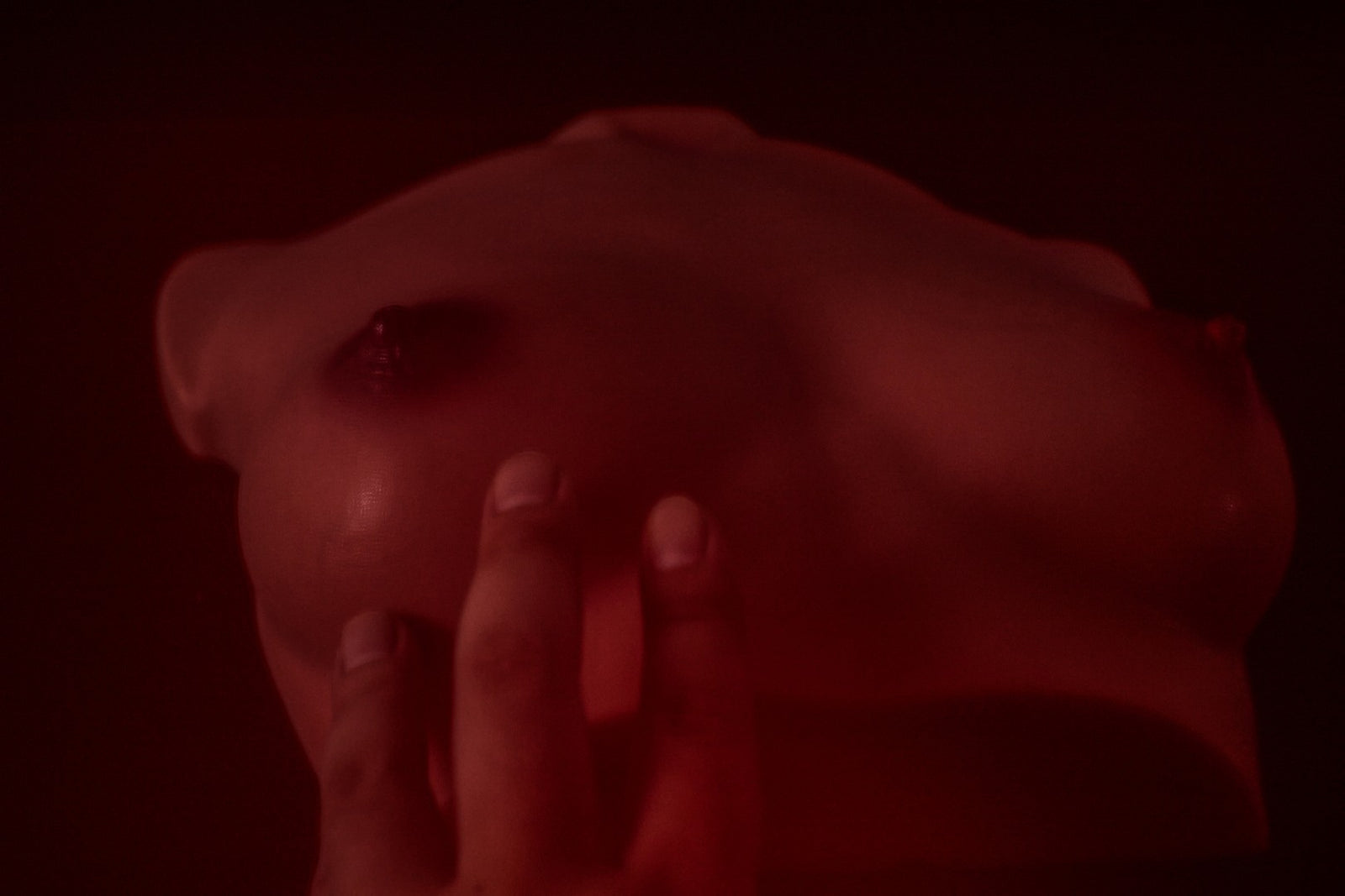 Borst(S) Torso Sekspop (Climax Doll Pro B-cup Siliconen)