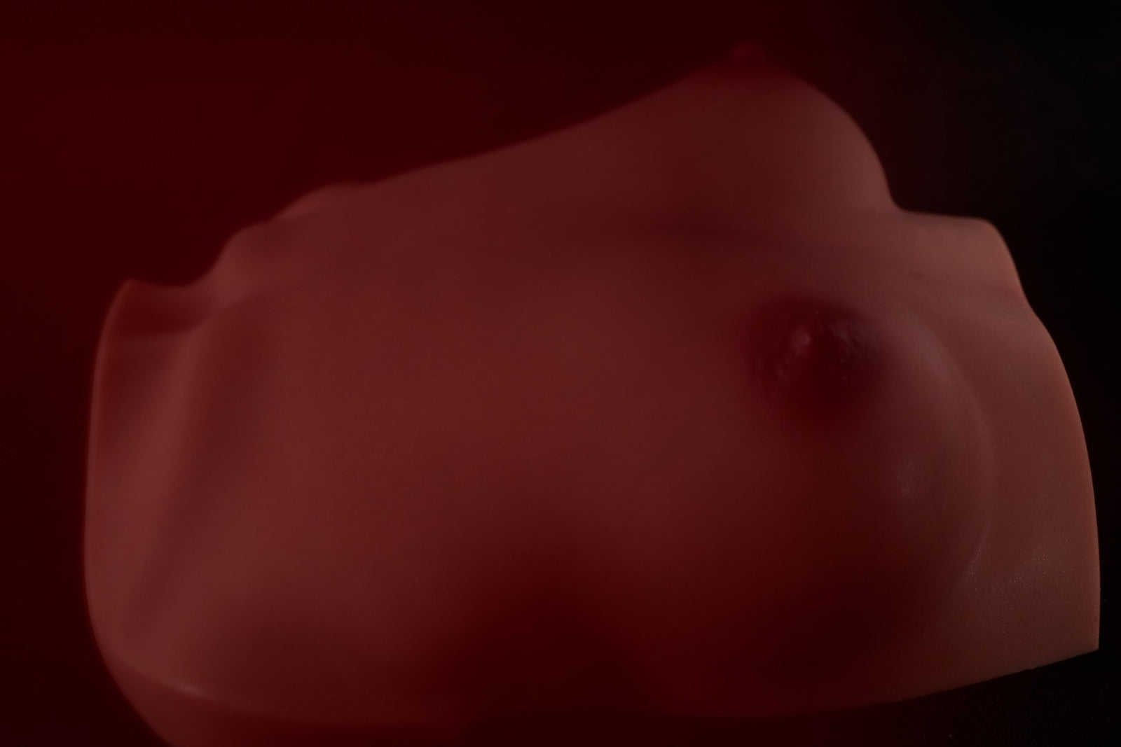 Borst(S) Torso Sekspop (Climax Doll Pro B-cup Siliconen)