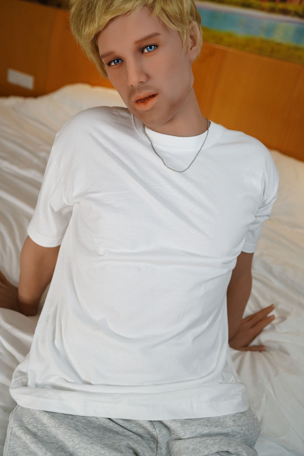 Male Sex doll Danny (Doll Forever 172cm S-TPE)