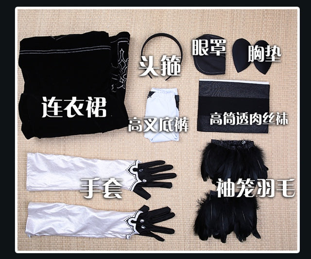 Officiële cosplayoutfits (Game Lady)
