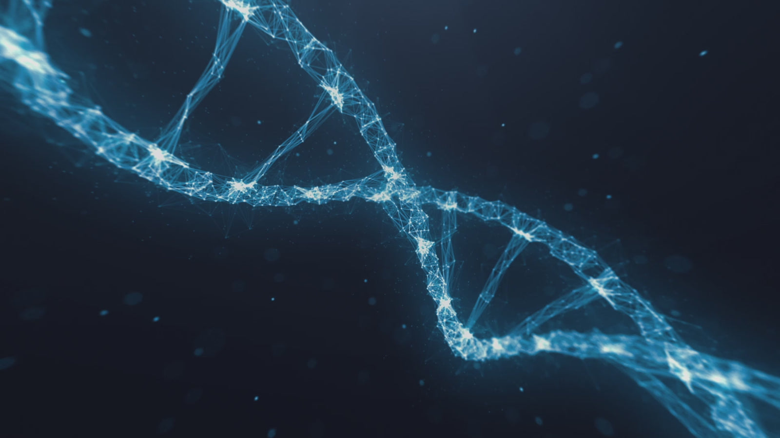 Phoebe-sekspop (XT Doll 164 cm C-cup #XT-22 siliconen)