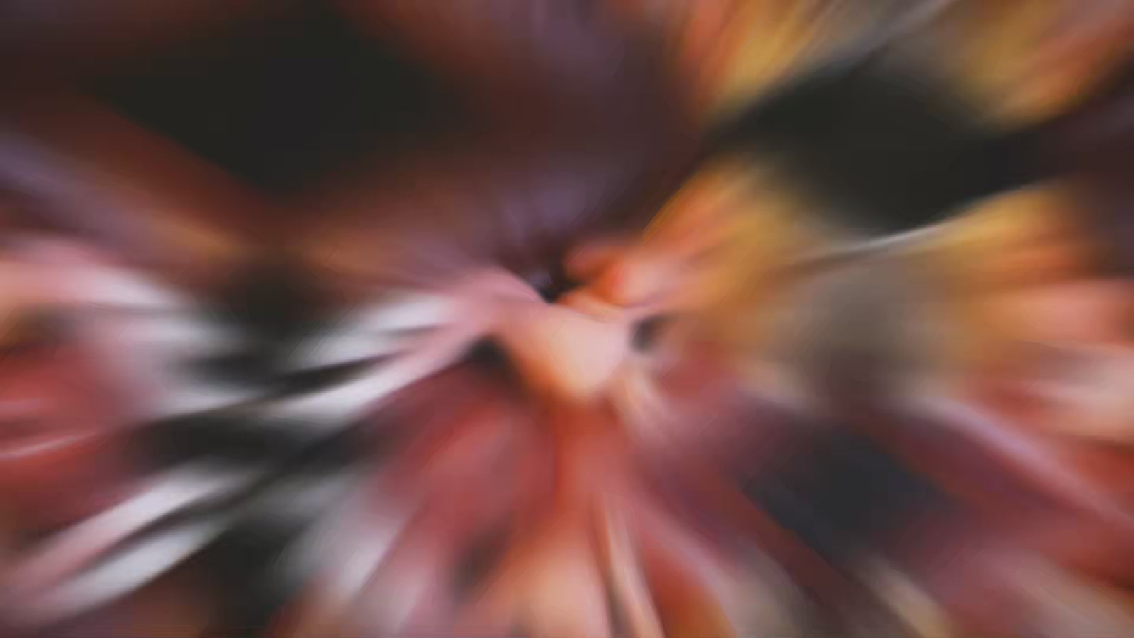 Tallulah Sex doll (Dolls Castle 121cm I-cup #DC44 TPE)